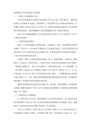 7.中国磷化工行业存在的问题及发展策略