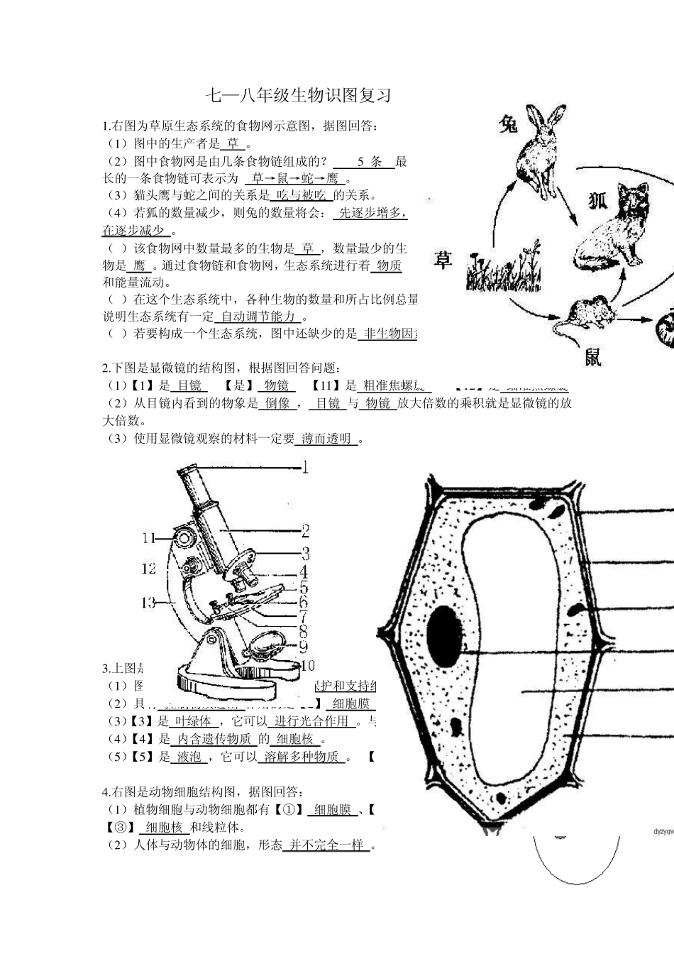 78生物识图_第1页