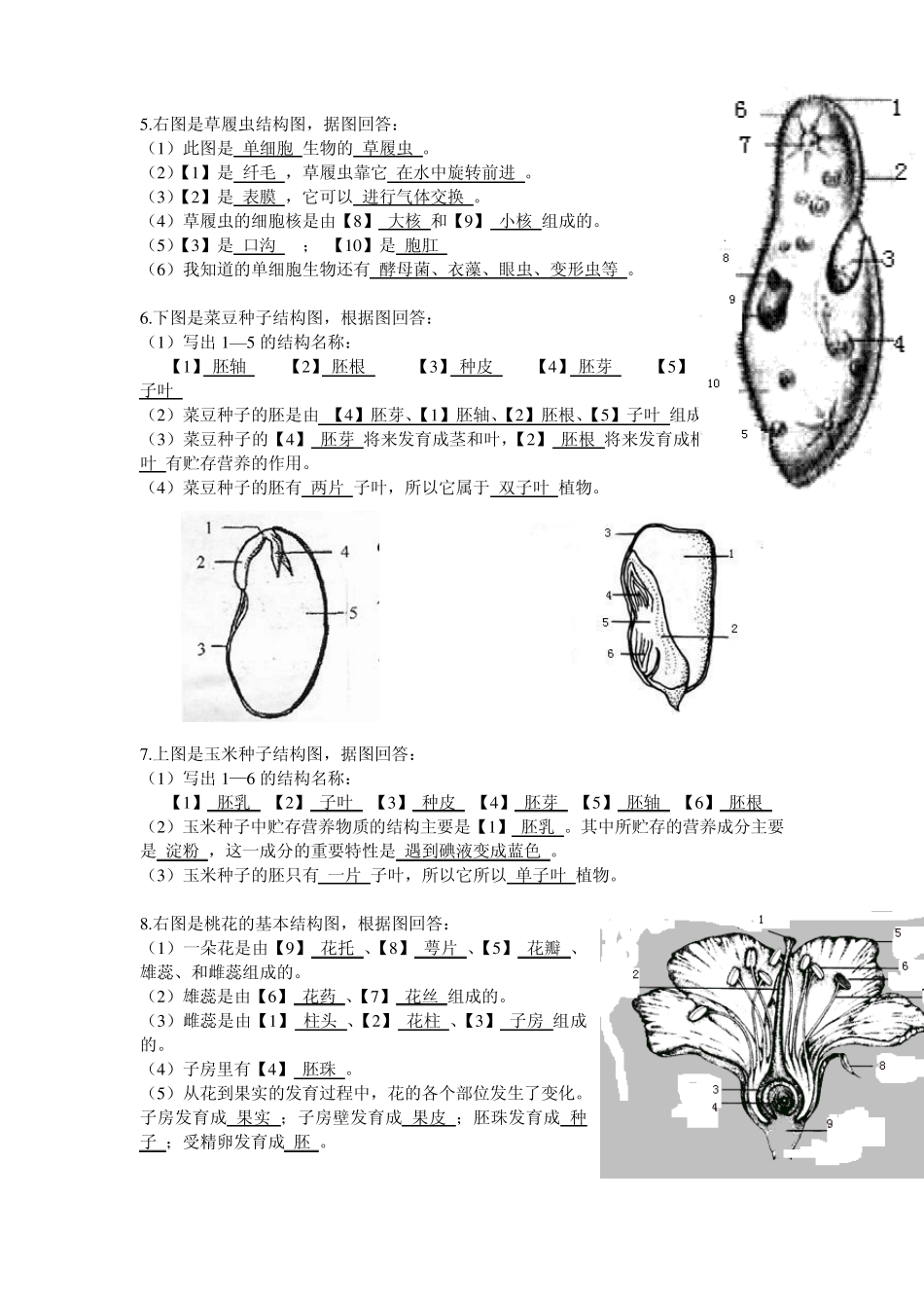 78生物识图_第2页