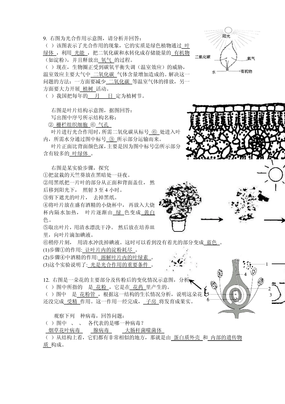 78生物识图_第3页