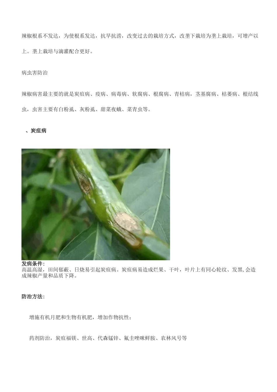 辣椒种植技术大全_第3页