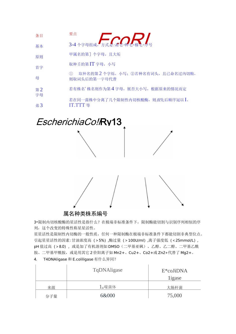 基因工程复习总结_第2页