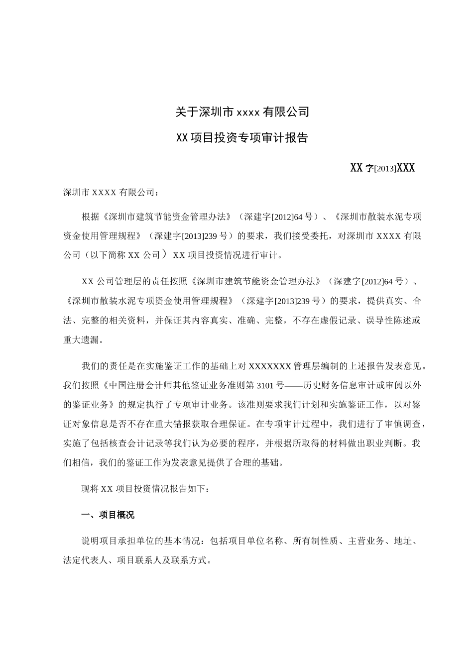 项目投资专项审计报告_第2页