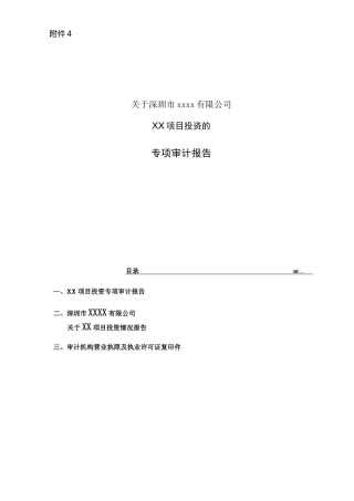 项目投资专项审计报告
