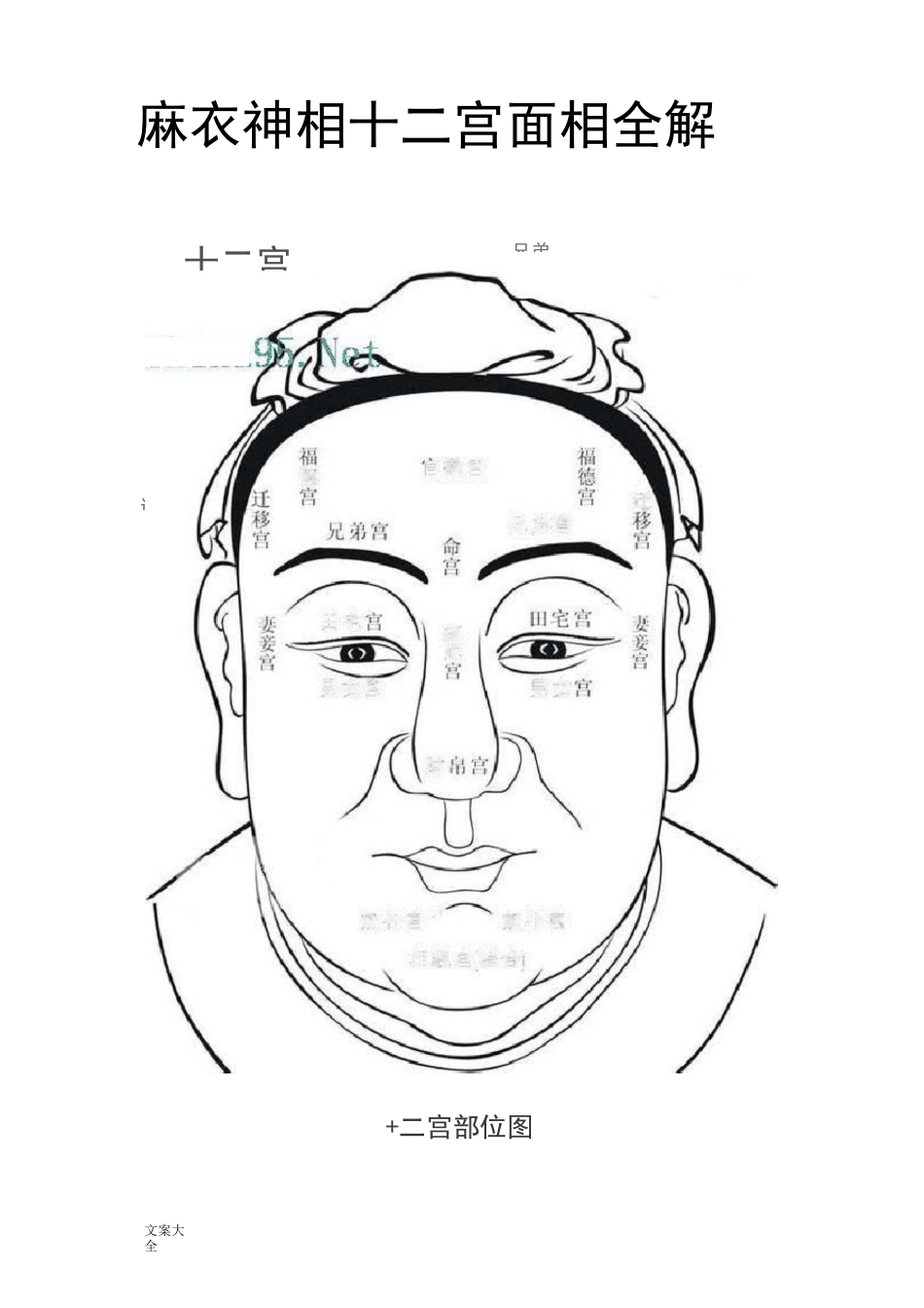 麻衣神相十二宫面相全解_第1页