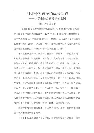 小学生综合素质评价案例