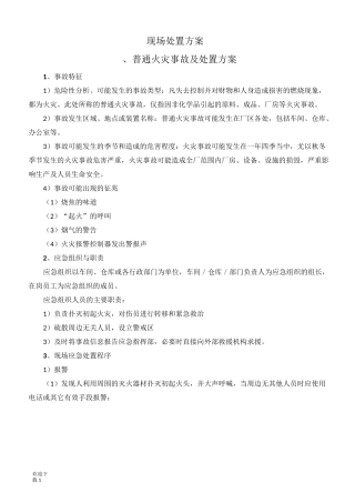 现场处置方案