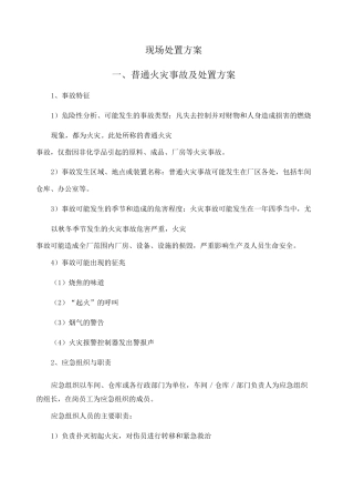 现场处置方案 