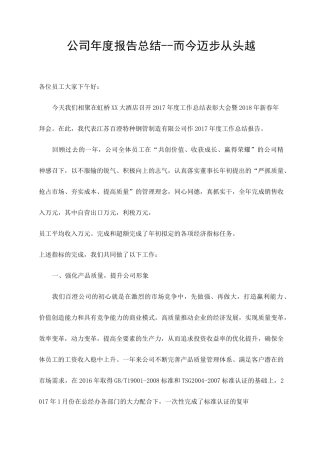 公司年度报告总结