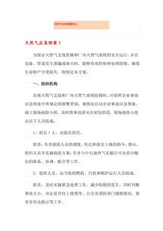 天然气应急预案范文