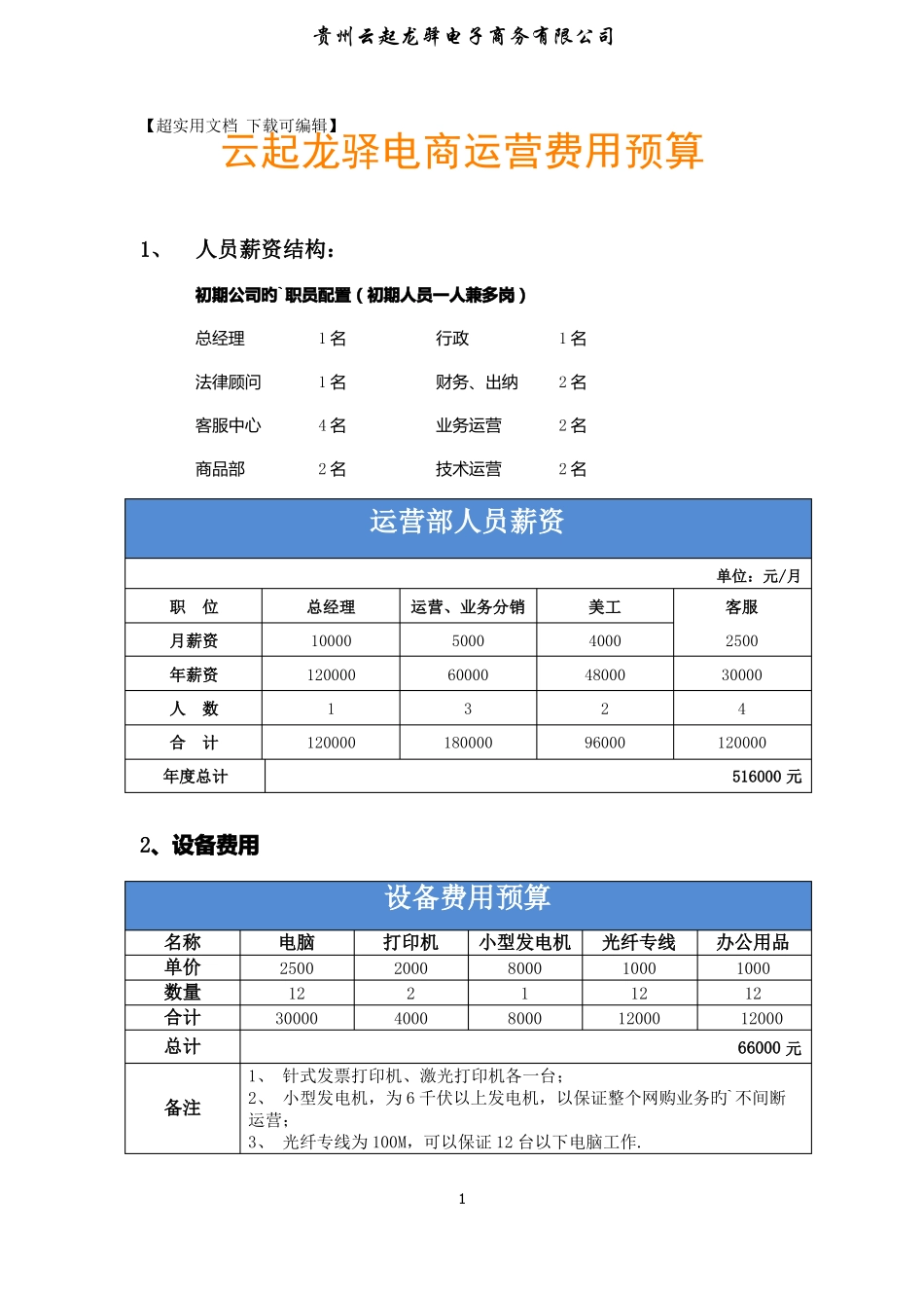 天猫旗舰店电商部门运营推广费用预算_第1页