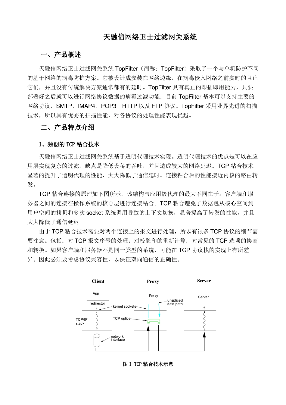 天融信网络卫士过滤网关系统TopFilter系列_第1页