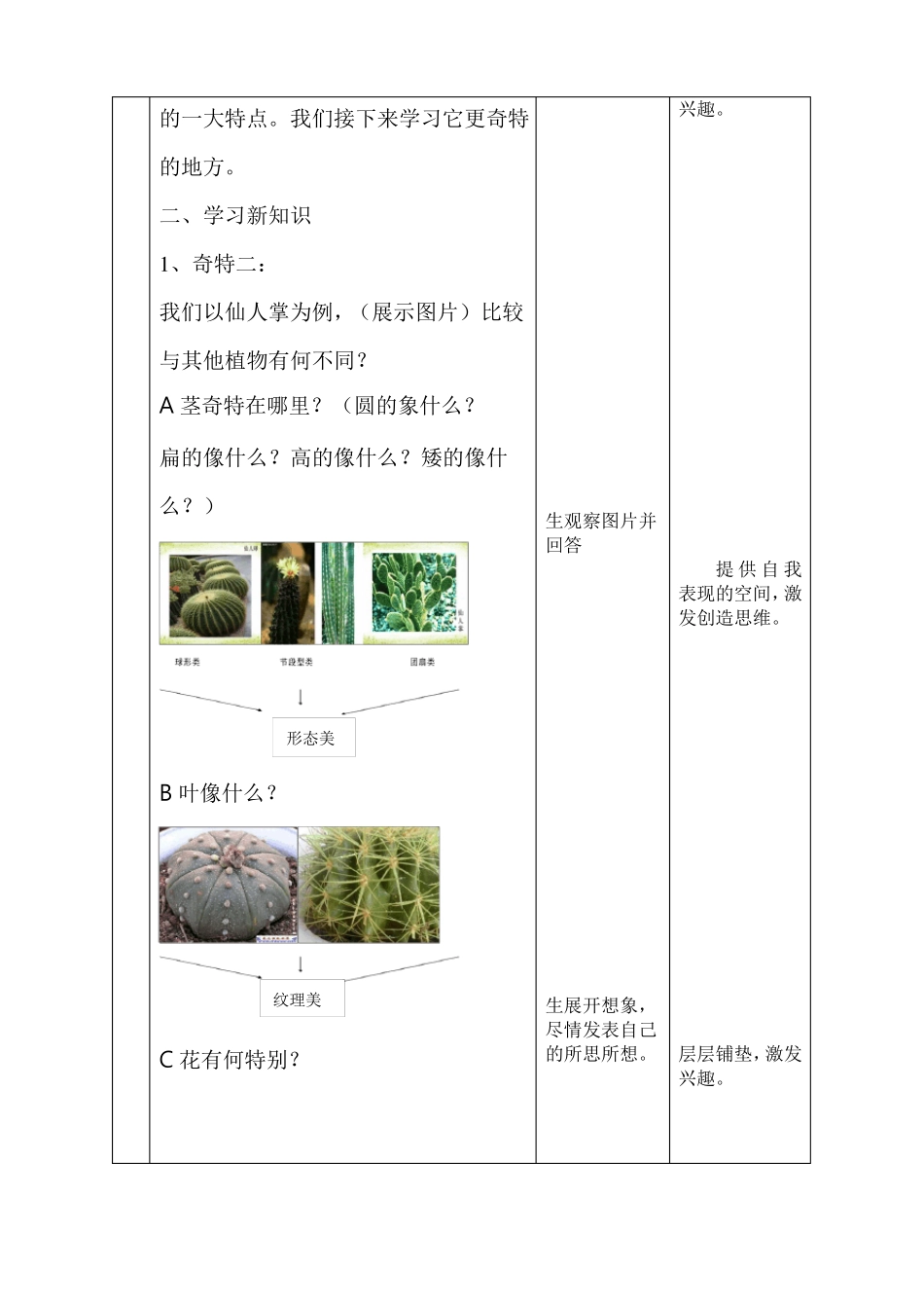 奇特的热带植物教学设计_第3页