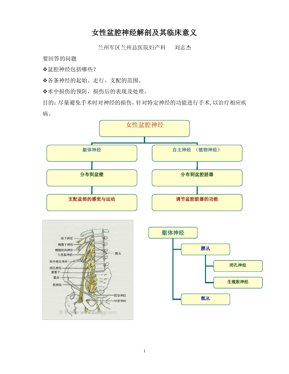 女性盆腔神经解剖和其临床意义_第1页