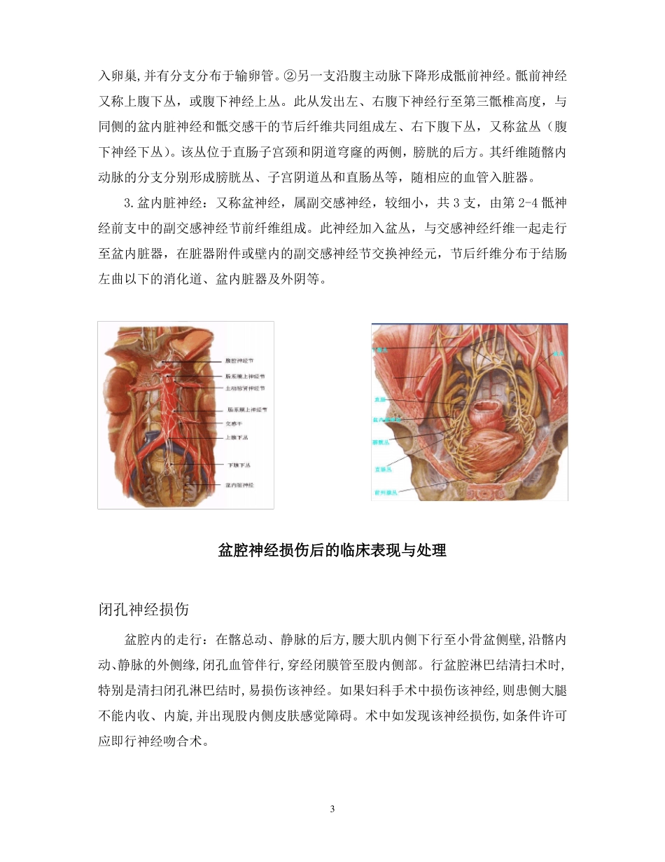 女性盆腔神经解剖和其临床意义_第3页