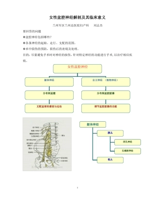 女性盆腔神经解剖和其临床意义