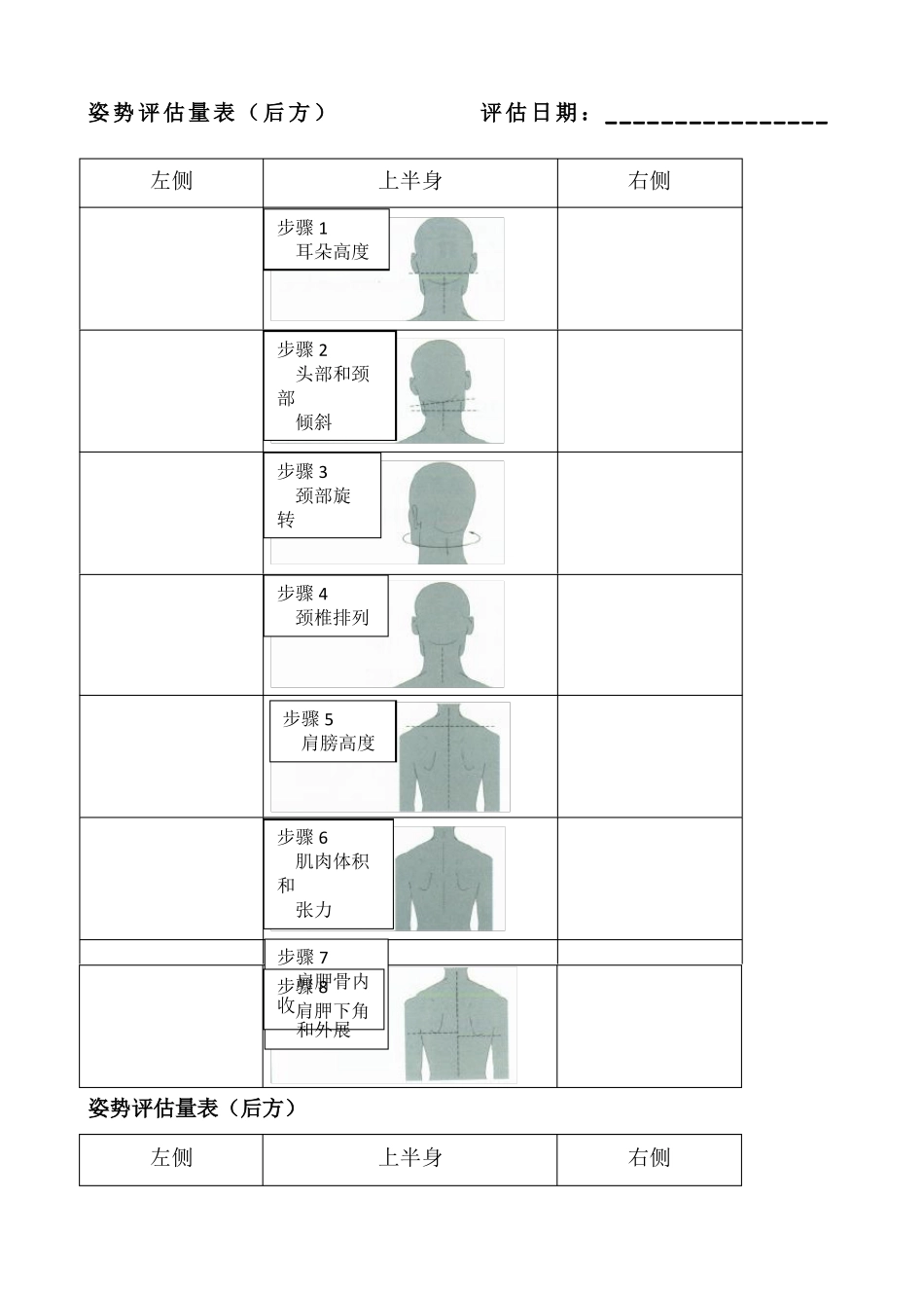 姿势评价量表_第1页
