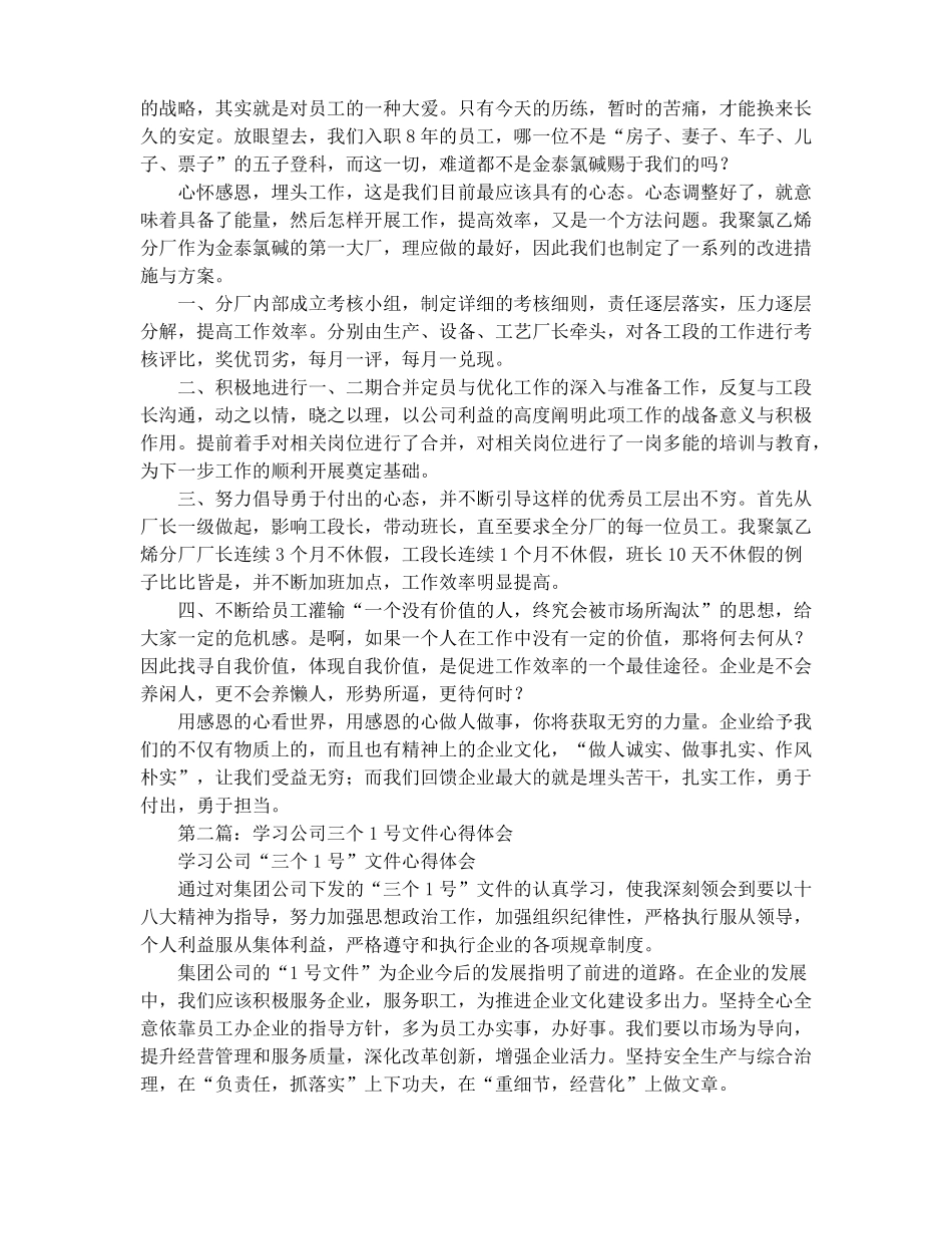 学习公司文件的心得体会精选多篇_第2页