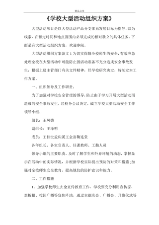 学校大型活动组织方案