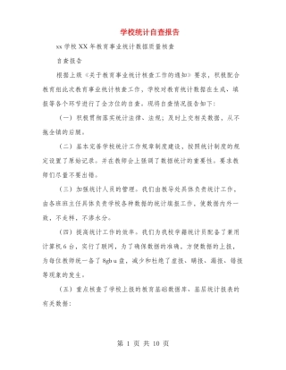 学校统计自查报告多篇