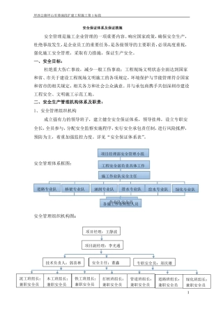 安全保证体系措施说明