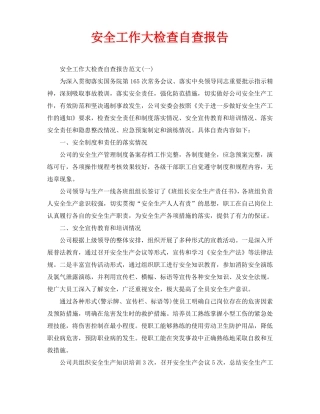 安全工作大检查自查报告