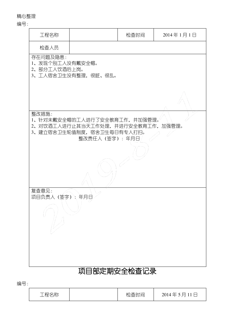 安全检查与隐患排查记录表格模板_第2页