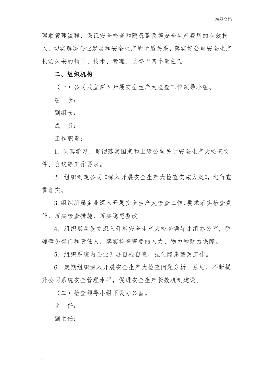 安全生产大检查实施方案模板_第2页