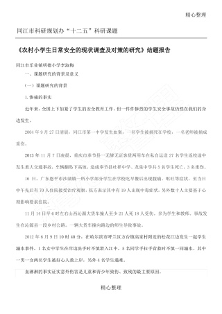 安全结题报告