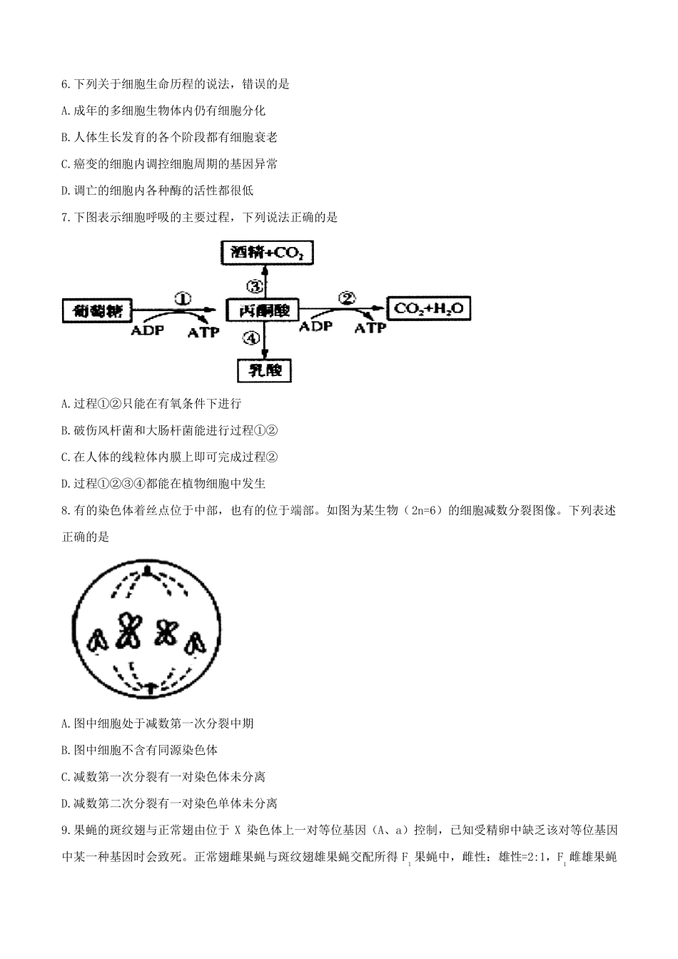 安徽合肥2018届高三第一次教学质量检测生物试卷_第2页
