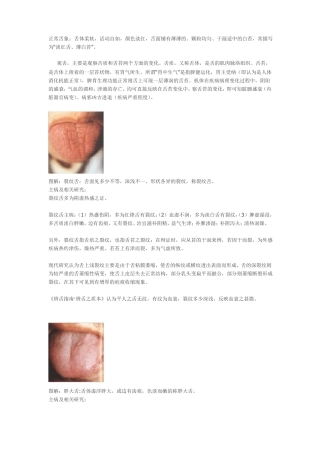 完整版舌象图解