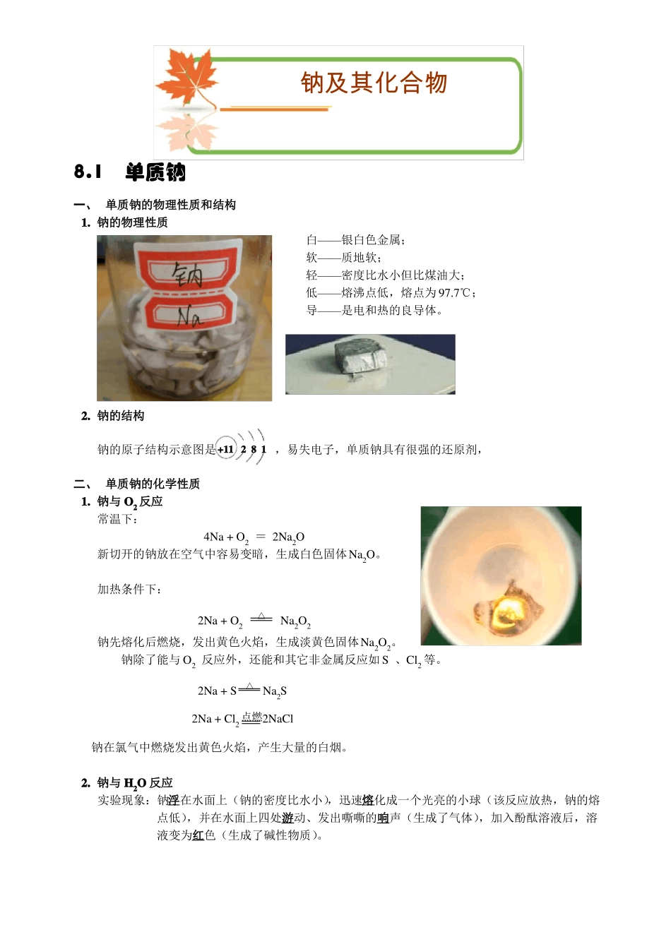 完整版高一化学钠及其化合物_第1页