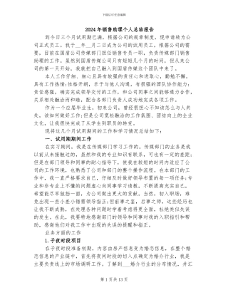 2024年销售助理个人总结报告