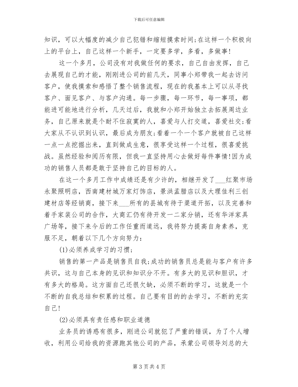 2024年销售员工作总结范本_第3页