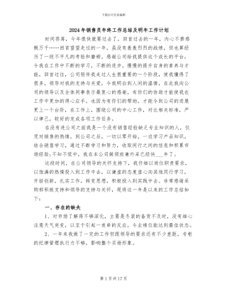 2024年销售员年终工作总结及明年工作计划