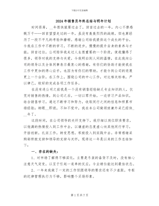2024年销售员年终总结与明年计划