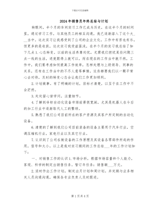 2024年销售员年终总结与计划