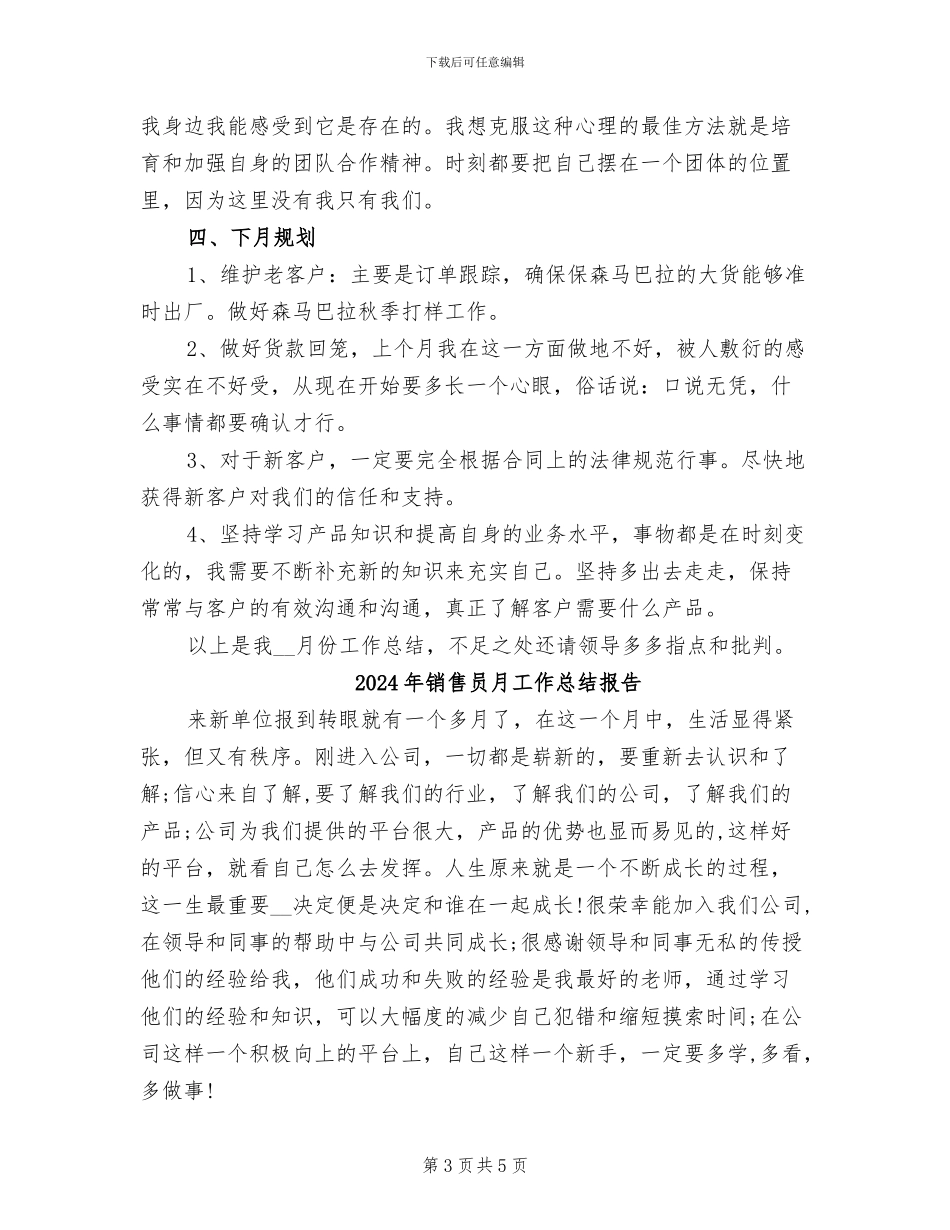 2024年销售员月工作总结与计划_第3页
