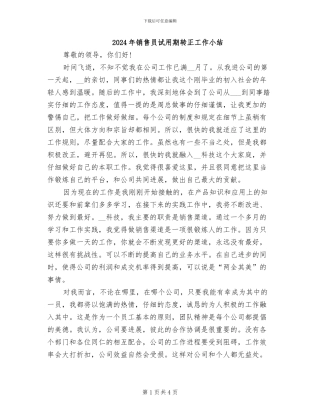 2024年销售员试用期转正工作小结