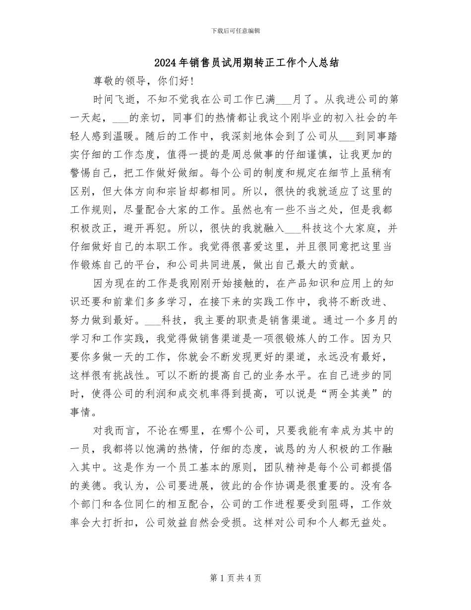 2024年销售员试用期转正工作个人总结_第1页