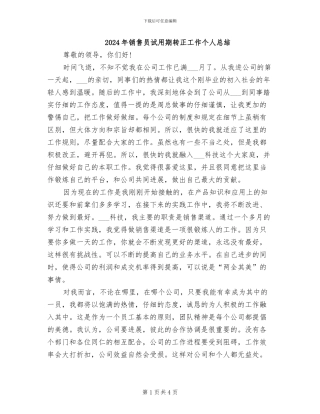 2024年销售员试用期转正工作个人总结