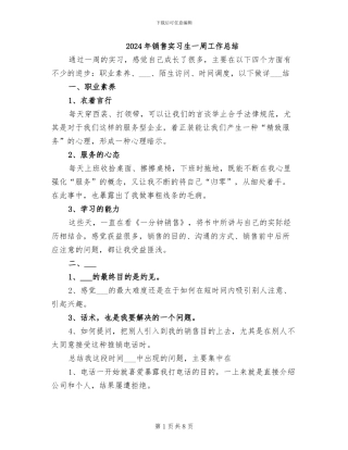 2024年销售实习生一周工作总结
