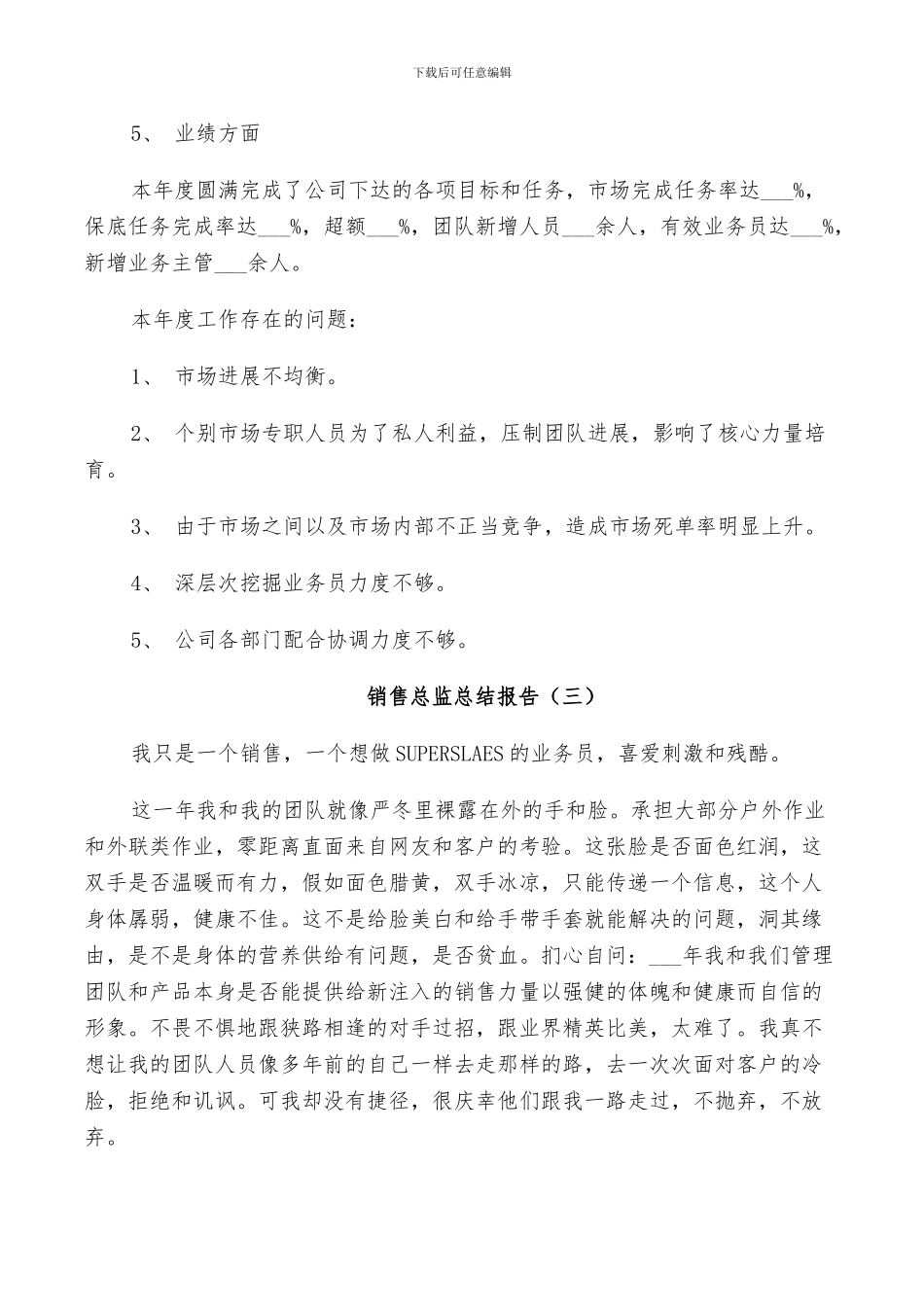 2024年销售总监个人总结_第3页