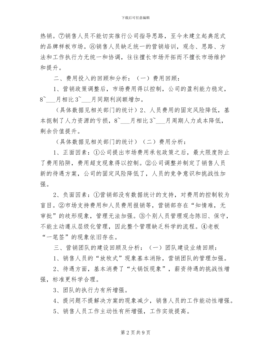 2024年销售总监工作总结范本_第2页