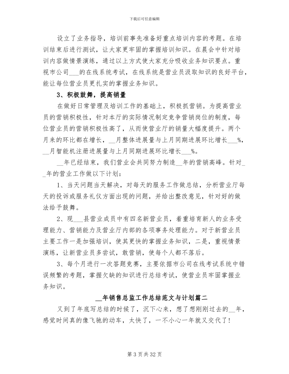 2024年销售总监工作总结_第3页
