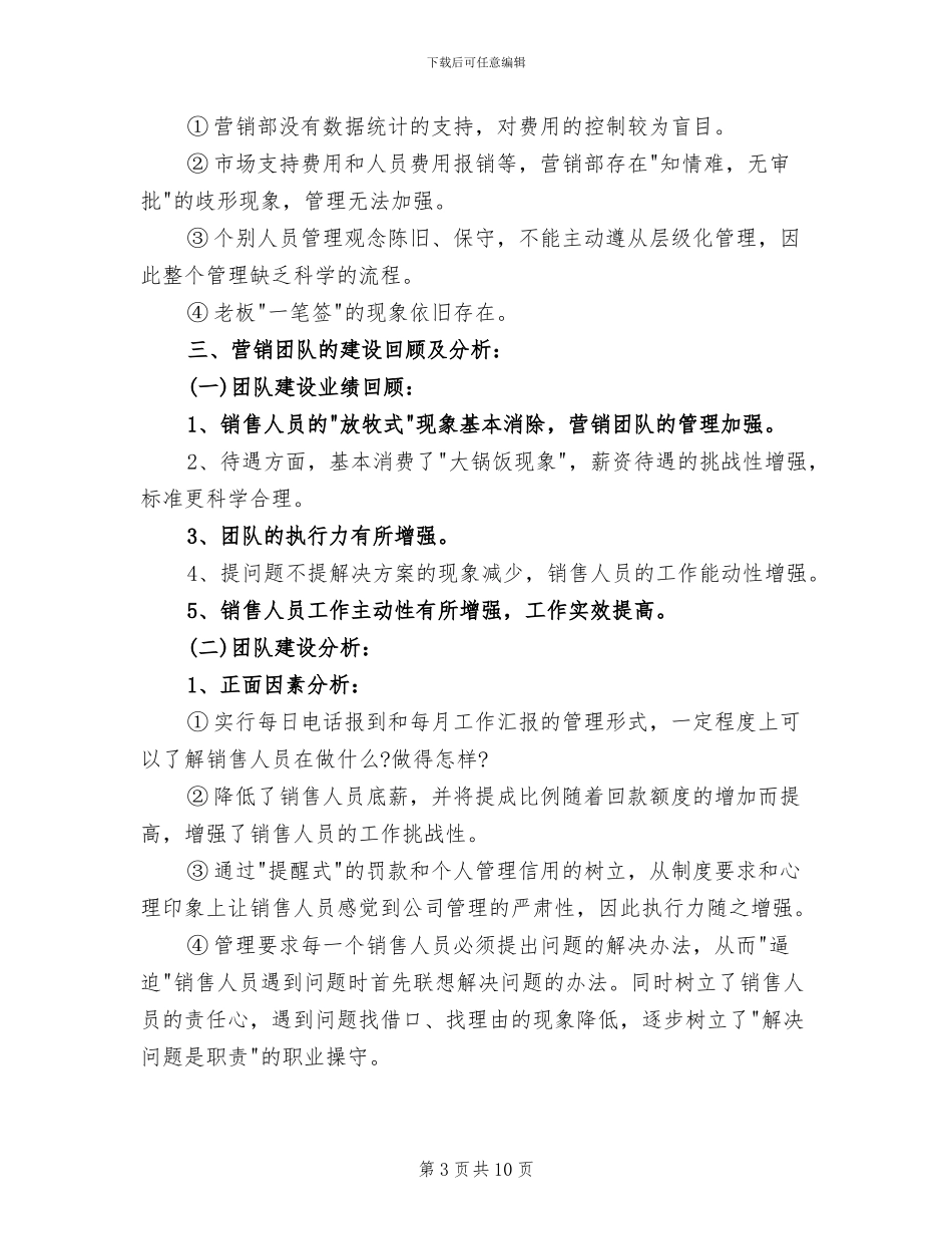 2024年销售总监年终工作总结报告_第3页