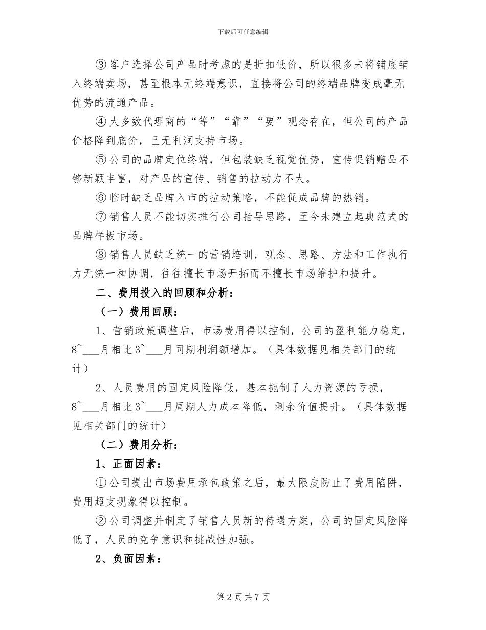 2024年销售总监的年终工作总结范文_第2页