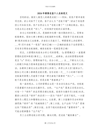2024年销售总监个人总结范文