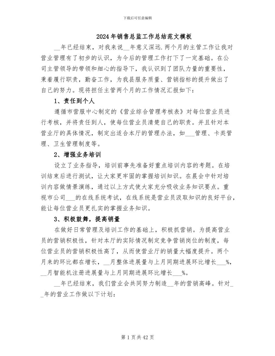 2024年销售总监工作总结范文模板_第1页