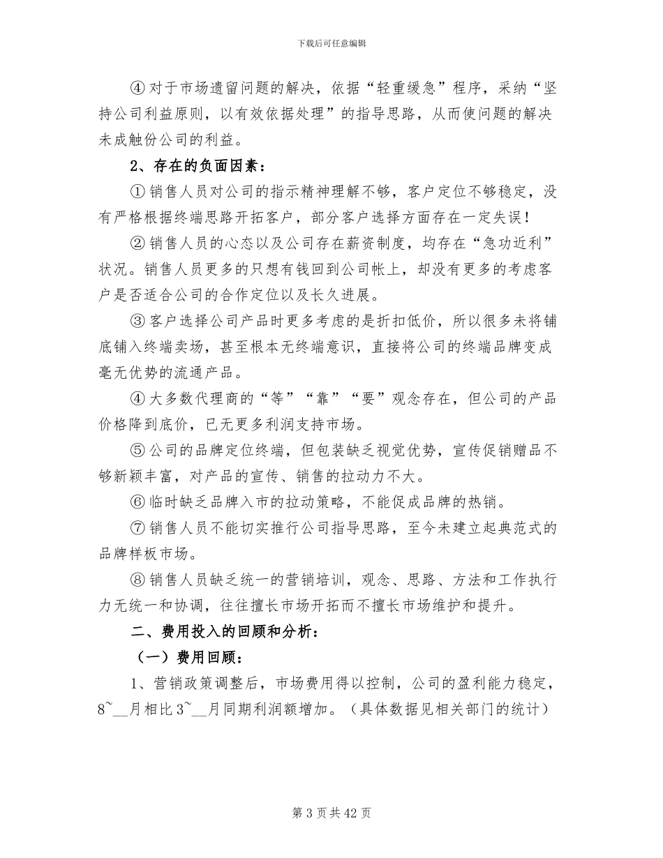 2024年销售总监工作总结范文模板_第3页